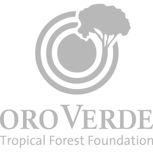 Logo Oro Verde logo