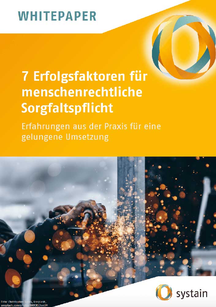 Sieben Erfolgsfaktoren fuer menschenrechtliche Sorgfaltspflicht min