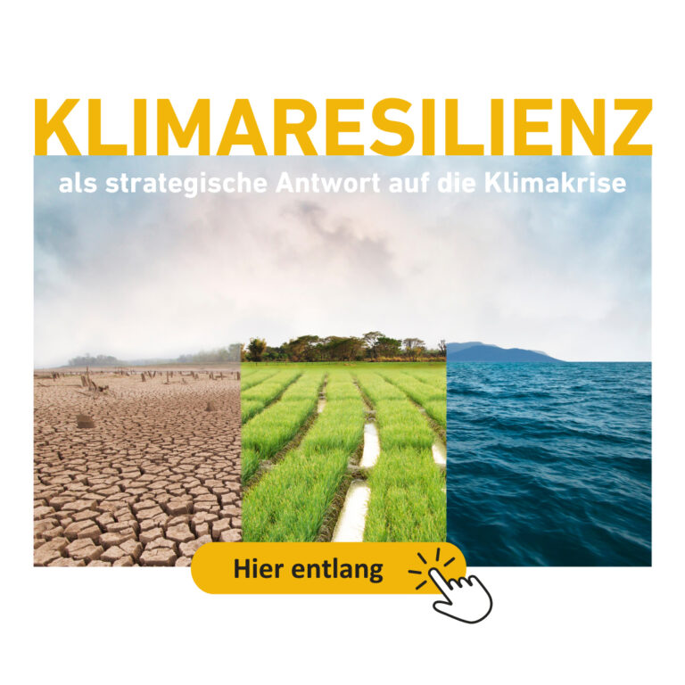 Klimaresilienz als strategische Antwort auf die Klimakrise