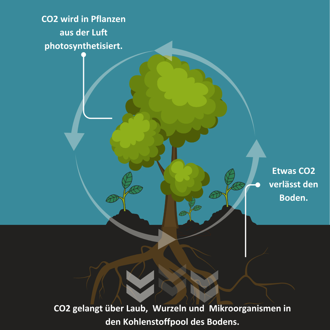 Carbon Farming: CO2 Kreislauf