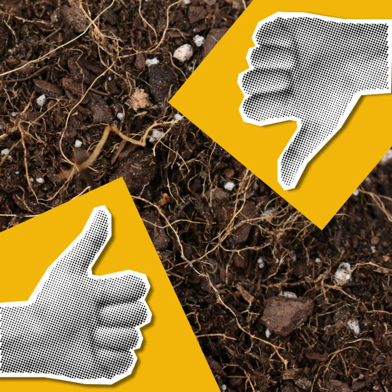 Carbon Farming: Der Schlüssel zur Erreichung unserer Klimaziele?