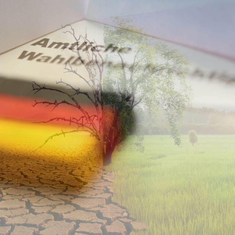 Nachhaltigkeitsberichterstattung in den Wahlprogrammen zur Bundestagswahl 2025: Ein Überblick