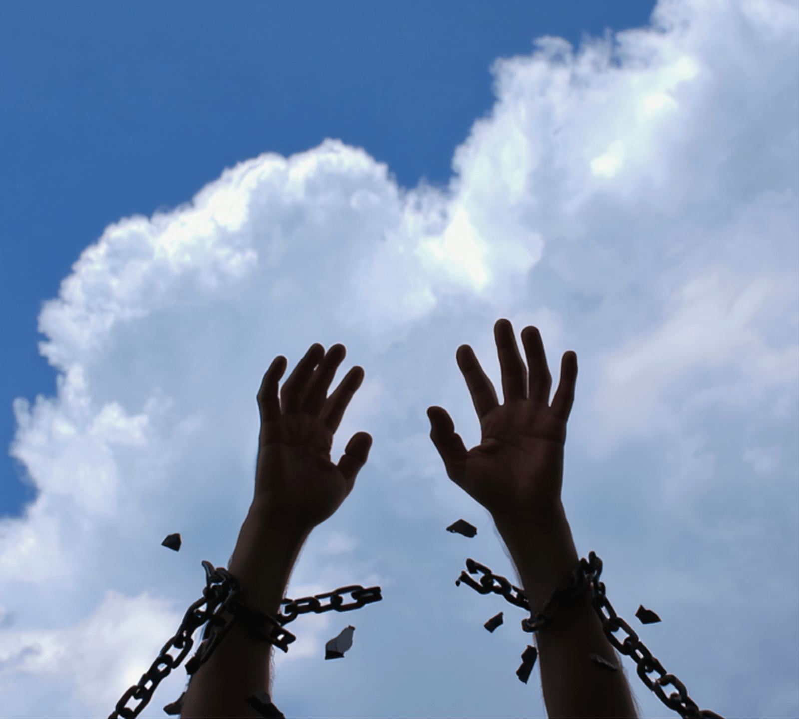 Fit für die EU Forced Labour Regulation: Wie Unternehmen die Umsetzung effizient meistern