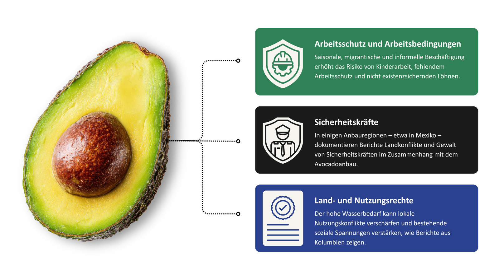 Arbeitsschutz und Arbeitsbedingungen bei Avocados